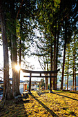 Sairyuji-Tempel, Takato, Präfektur Nagano, Honshu, Japan, Asien