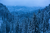 Winter landscapes of Carpathian Mountains near Brasov, Brasov County, Romania, Europe