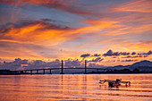 Sonnenuntergang über dem Hafen in der Stadt Ambon mit der Hängebrücke und einem Auslegerboot, Ambon, Molukken (Maluku), Indonesien, Südostasien, Asien