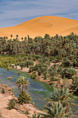 View over the Oasis of Taghit, western Algeria, North Africa, Africa