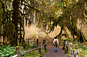 Hall of Mosses Regenwald, Olympic National Park, UNESCO-Weltkulturerbe, Bundesstaat Washington, Vereinigte Staaten von Amerika, Nordamerika