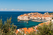 Old town, UNESCO World Heritage Site, Dubrovnik, Croatia, Europe