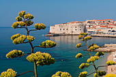 Altstadt, UNESCO-Weltkulturerbe, Dubrovnik, Kroatien, Europa