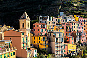 Kirche und traditionelle Häuser von Manarola, Cinque Terre, UNESCO-Weltkulturerbe, Ligurien, Italien, Europa