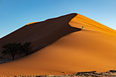 Drohnenaufnahme des Modells Climbing Dune 13 bei Sonnenaufgang, Sossusvlei, Namibia, Afrika