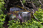 Bastnas Car Cemetery deep in the forests of the region of Varmland in Sweden, Scandinavia, Europe