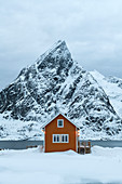 Yellow rorbuer hut in the snow, Sakrisoy, Moskenesoya, Lofoten Islands, Nordland, Arctic, Norway, Europe