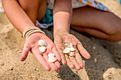 Girl hands with cockleshells, France