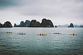 Group of kayakers rowing in a bay amidst limestone karst formations.