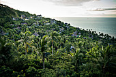 Blick über dichte Wälder und Kokospalmen mit Meer in der Ferne