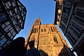 France, Bas Rhin, Strasbourg, old town listed as World Heritage by UNESCO, Notre Dame Cathedral