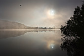 Nebel an der Donau bei Donaustauf, Donau, Bayern, Deutschland