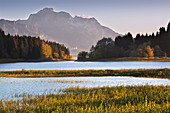 Herbst am Forggensee, Blick auf Schloss Neuschwanstein und Säuling, Allgäu, Bayern, Deutschland