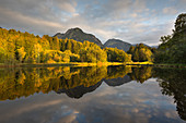 Moorweiher near Oberstdorf, Allgäu, Bavaria, Germany