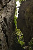 Breitachklamm bei Oberstdorf, Allgäu, Bayern, Deutschland