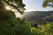 Aussichtspunkt Elisensitz bei Kastel-Staadt, Saar, Rheinland-Pfalz, Deutschland