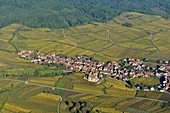 Frankreich, Haut-Rhin, Elsässische Weinstraße, Hunawihr, ausgezeichnet mit 'Les Plus Beaux Villages de France' (Die schönsten Dörfer Frankreichs), Kirche Sainte-Hune (Luftaufnahme)