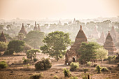 Sonnenaufgang an den Tempeln von Bagan (heidnisch), Myanmar (Burma), Asien