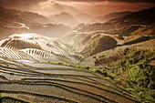 Juni Sonnenaufgang, Longsheng terrassierte Reisfelder, Provinz Guangxi, China, Asien