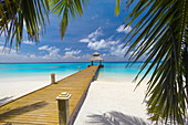 Jetty leading out to tropical sea, Maldives, Indian Ocean, Asia