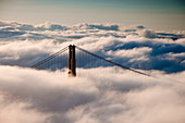 Golden Gate Bridge, San Francisco, Kalifornien, Vereinigte Staaten von Amerika, Nordamerika