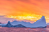 Sonnenuntergang über Eisschollen und Eisbergen, nahe Pleneau Island, Antarktis, Südlicher Ozean, Polarregionen