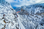 Der Bernina Express fährt durch die verschneiten Wälder um Filisur, Graubunden, Schweiz, Europa