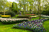 Tulpen und Windmühlen im Keukenhof Garten, Lisse, Südholland, Niederlande, Europa