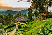Agandi Eco Lodge (the huts), Bwindi Impenetrable Forest National Park, UNESCO World Heritage Site, Uganda, East Africa, Africa