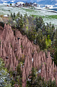 The earth pyramids on the Renon, natural monument, South Tyrol, Italy