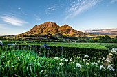 View from the Delaire Graff Estate onto the Simonsberg Nature Reserve, Stellenbosch, Cape Winelands, South Africa, Africa