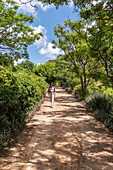 Jordan Wine Estate, Stellenbosch, Cape Winelands, South Africa, Africa
