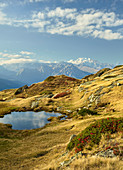 Dom, Matterhorn, von der Moosfluh, Wallis, Schweiz