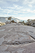 Olmsted Point, Yosemite National Park, Kalifonien, USA