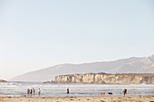 Strandspaziergänger, Badende und Hunde am Strand in Big Sur, Kalifornien, USA