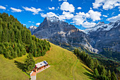 Alm with Wetterhorn and Schreckhorn, Grindelwald, Bernese Oberland, Canton of Bern, Switzerland