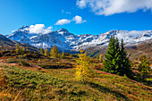 Landscape at the Simplon Pass with Fletschhorn, Valais, Switzerland