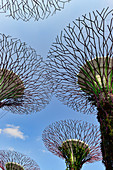 Ansicht der begehbaren Baum-Türme im Gardens by hte Bay, Singapore