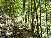 Sentiero dello Spirito, Weg nach Cappella Rupestre di Ripa Rossa, Nationalpark Majella, Abruzzen, Italien