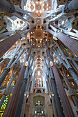 Mittelschiff der Sagrada Familia, Innenarchitektur der Kathedrale von Gaudi in Barcelona, Spanien\n