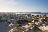 Dunes on the surfer beach Praia da Gamboa in Peniche, Portugal