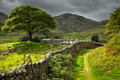 Idyllische Farm- und Landschaftsansicht mit Trockenmauerwerk im Langdale-Tal, Lake District National Park, UNESCO-Weltkulturerbe, Cumbria, England, Vereinigtes Königreich, Europa