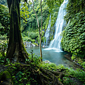 Banyumala Zwillingswasserfälle, Wanagiri, Buleleng, Bali, Indonesien, Südostasien, Asien