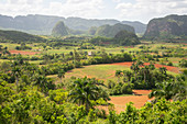 Blick auf das schöne Tal von Vinales, UNESCO-Weltkulturerbe, Kuba, Westindien, Karibik, Mittelamerika