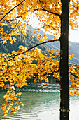 Hintersee im Herbst, Berchtesgaden, Bayern, Deutschland
