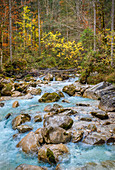Die Ramsau im Zauberwald im Herbst, Hintersee, Berchtesgaden, Bayern, Deutschland