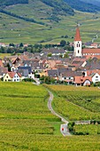 France, Haut Rhin, Route des Vins d'Alsace (Route of the wines of Alsace region), Ammerschwihr, general view of the village and vinyards