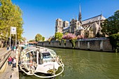 Frankreich, Paris, Seine-Ufer, UNESCO Weltkulturerbe, die Kathedrale Notre Dame auf der Ile de la Cite, ein Batobus