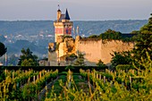 France, Indre et Loire, Chinon, listed as Word Heritage by UNESCO, castle of Chinon, the Clock Tower