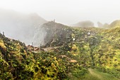 Frankreich, Guadeloupe (Französisch-Westindien), Basse Terre, Guadeloupe-Nationalpark, Saint Claude, Wanderung zum Vulkan Soufriere, Fumarolen, die aus dem Krater entkommen (Höhe: 1476 m)